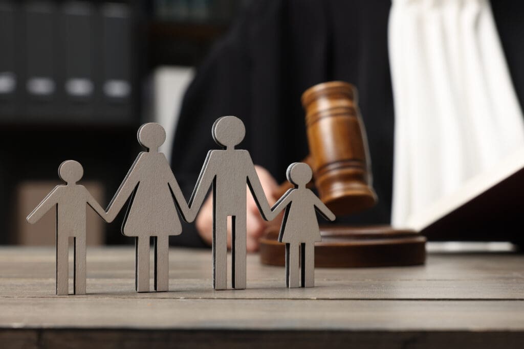 family law domestic law